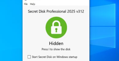 Secret Disk Professional 2025